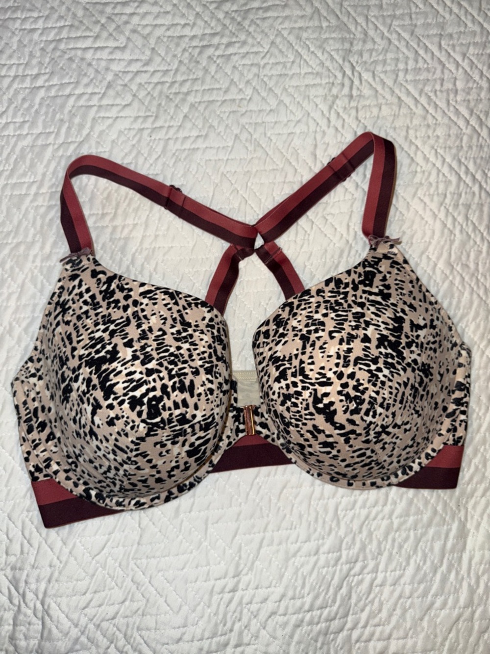 Cacique Beige and Burgundy Printed Padded Bra